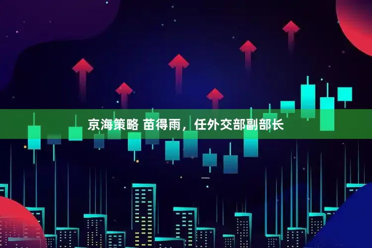 京海策略 苗得雨，任外交部副部长