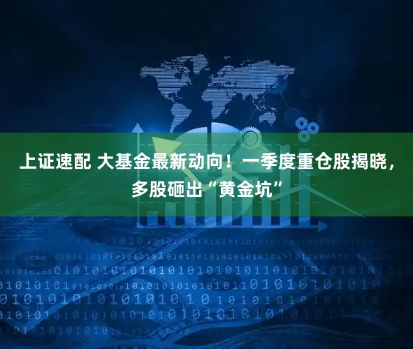 上证速配 大基金最新动向！一季度重仓股揭晓，多股砸出“黄金坑”
