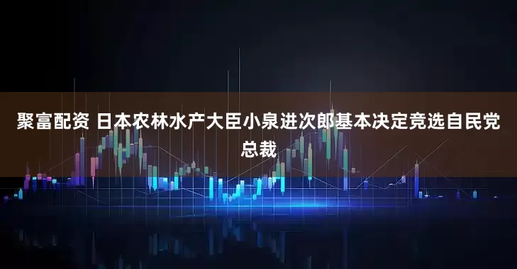 聚富配资 日本农林水产大臣小泉进次郎基本决定竞选自民党总裁
